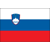 SLOVENIA 1. SNL league flag